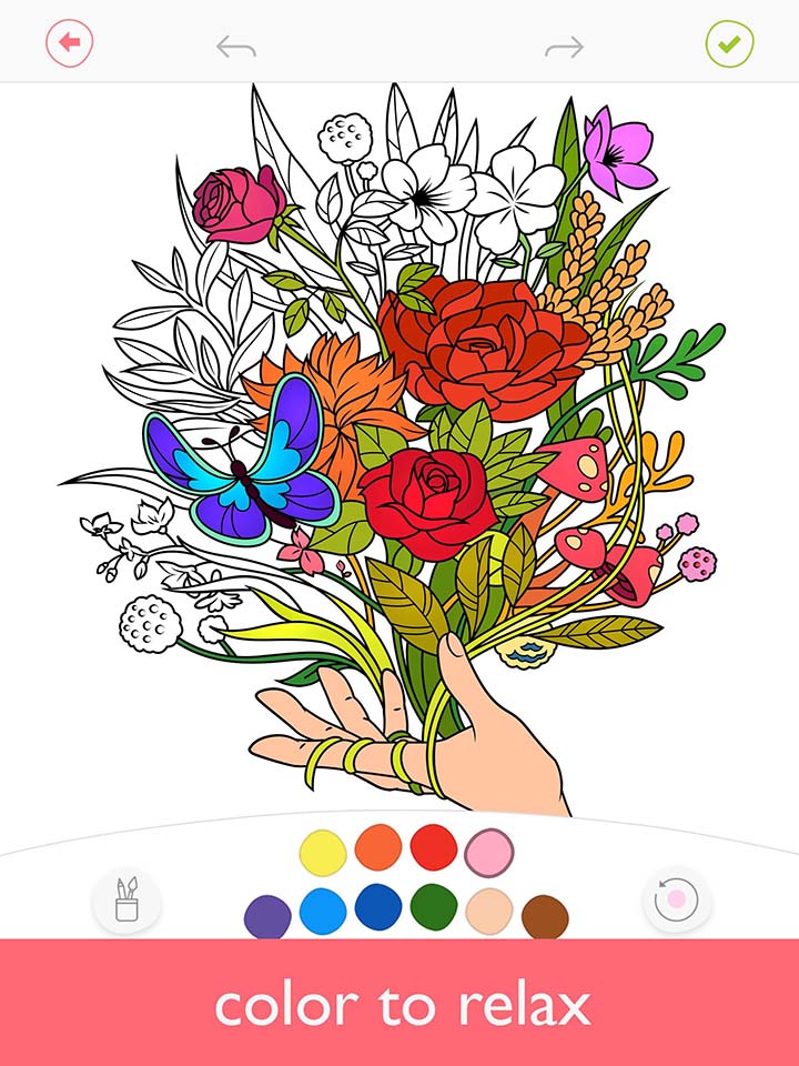 شاشة Colorfy plus 0