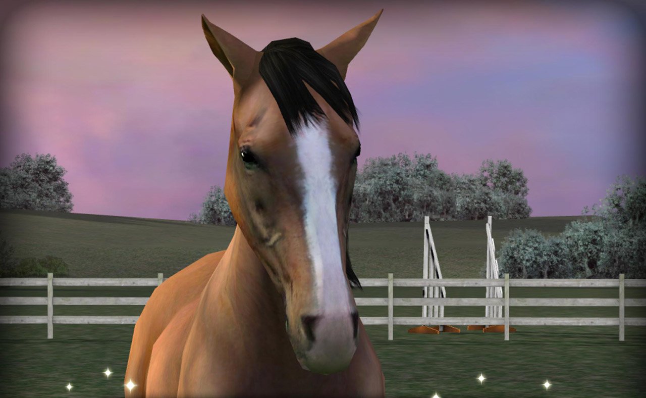 شاشة My Horse 0