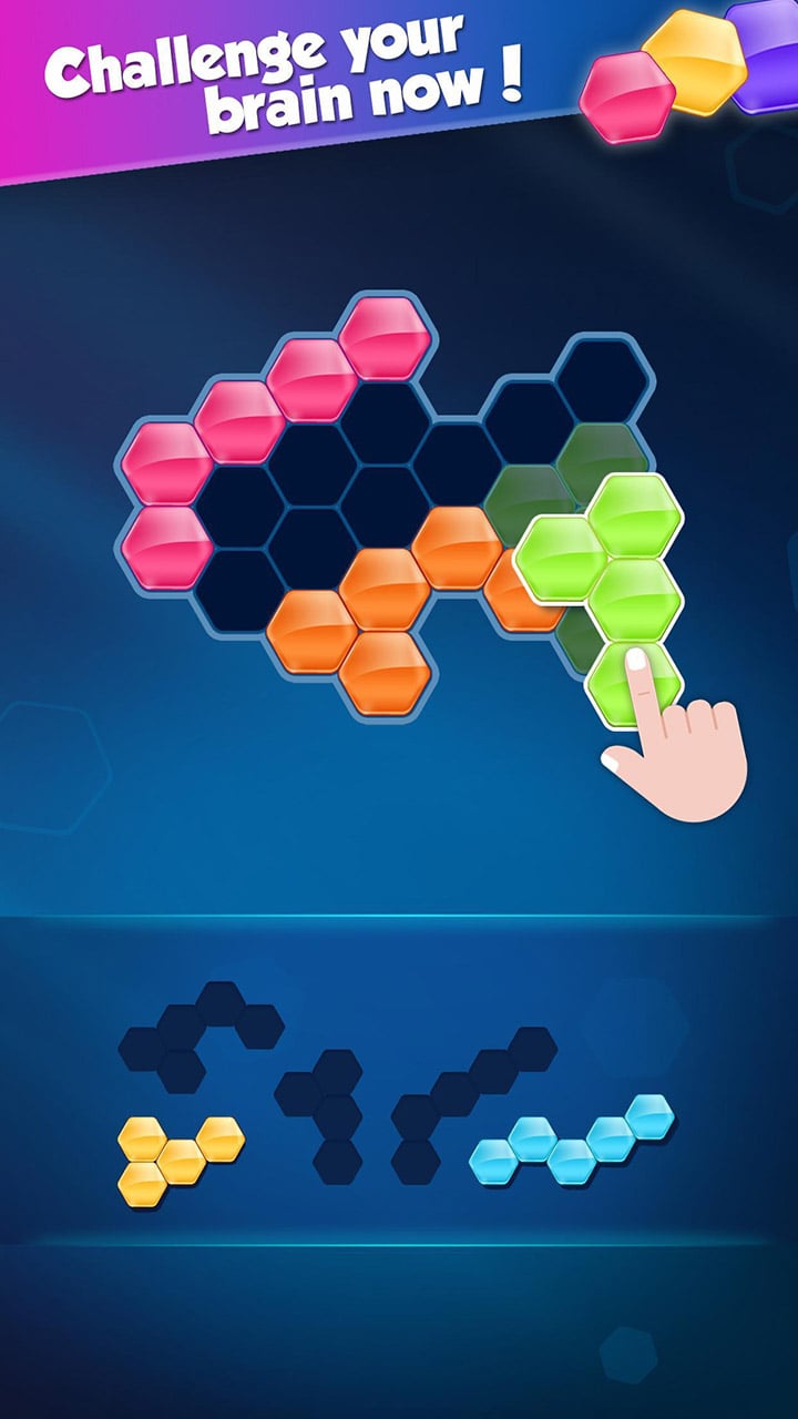 شاشة Block Hexa Puzzle 2